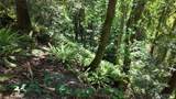 0 Oyster Creek Lane - Photo 18