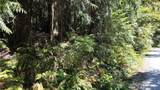 0 Oyster Creek Lane - Photo 25
