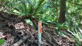 0 Oyster Creek Lane - Photo 36