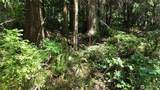 0 Oyster Creek Lane - Photo 37