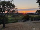6054 Snapdragon Lane - Photo 31