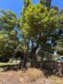 14428 31st Avenue - Photo 33