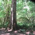 10337 Glacier Rim Drive - Photo 1