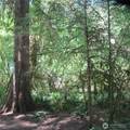 10337 Glacier Rim Drive - Photo 5