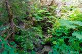 34115 Stevens Road - Photo 6