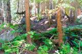 34115 Stevens Road - Photo 8