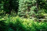 34115 Stevens Road - Photo 10