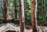 34033 Stevens Road - Photo 5