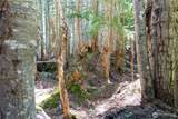 34033 Stevens Road - Photo 6