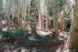 34033 Stevens Road - Photo 8