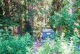 34383 Nason Road - Photo 4