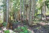34383 Nason Road - Photo 9