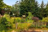 1024 Director Street - Photo 28