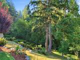 13807 Military Road - Photo 35