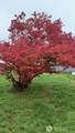 10303 B Street - Photo 26