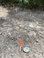 646 Tributary Lane - Photo 8