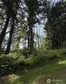 11106 Spruce Dr - Photo 2