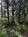 11106 Spruce Dr - Photo 3