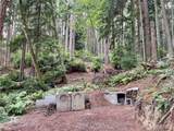 0 Forgotten Lane - Photo 10