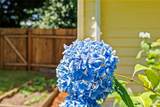 19064 10th Avenue - Photo 31
