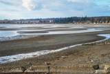 8021 Birch Bay Unit Drive - Photo 31