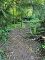 74 Lake Louise Drive - Photo 1