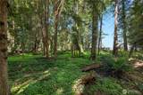 2723 Woodgrove Street - Photo 30