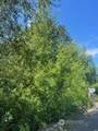 0 xxxx Lilly Road - Photo 3