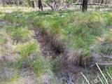 2 Tanner Short Plat - Photo 8