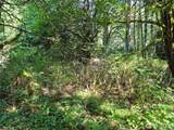 36411 324th Street - Photo 6