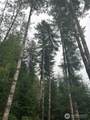 99 Highway 101 - Photo 3