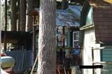6277 Spruce Court - Photo 2