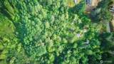3912 183rd Avenue Ct - Photo 4