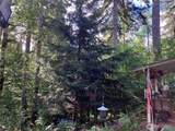 0 Tyee Place - Photo 11
