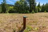 42683 Waters View Court - Photo 11