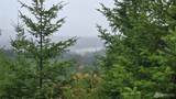 9207 Tract B Old Olympic Highway - Photo 29