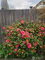 1505 39th Street - Photo 38