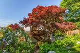 801 Barrett Street - Photo 35