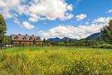 23212 Brooks Creek Road - Photo 4