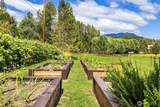 23212 Brooks Creek Road - Photo 32