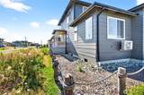 4120 Patos Drive - Photo 38