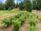 41212 268th Avenue - Photo 35