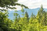 8325 Seabeck Highway - Photo 40