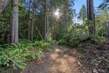 0 Point White Drive - Photo 12