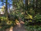 0 Point White Drive - Photo 8