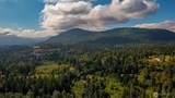 36517 Forest Street - Photo 32