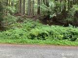 87442 Old Cascade Highway - Photo 2
