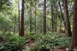 0 NHN Horton Road - Photo 11