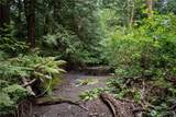 0 NHN Horton Road - Photo 13