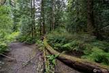 0 NHN Horton Road - Photo 16